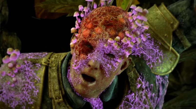 kép forrása - obsidian entertainment