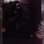 iPhone 11 Pro Σκληρή Θήκη Σιλικόνης Λουλούδια Silicone Case Design 8