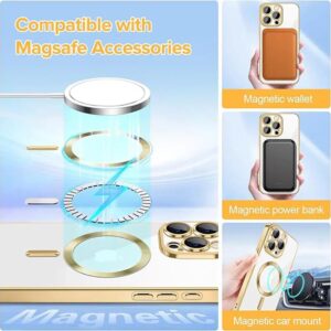 Techsuit iPhone 15 Pro Max Luxury Crystal Θήκη Σιλικόνης με Magsafe - Gold